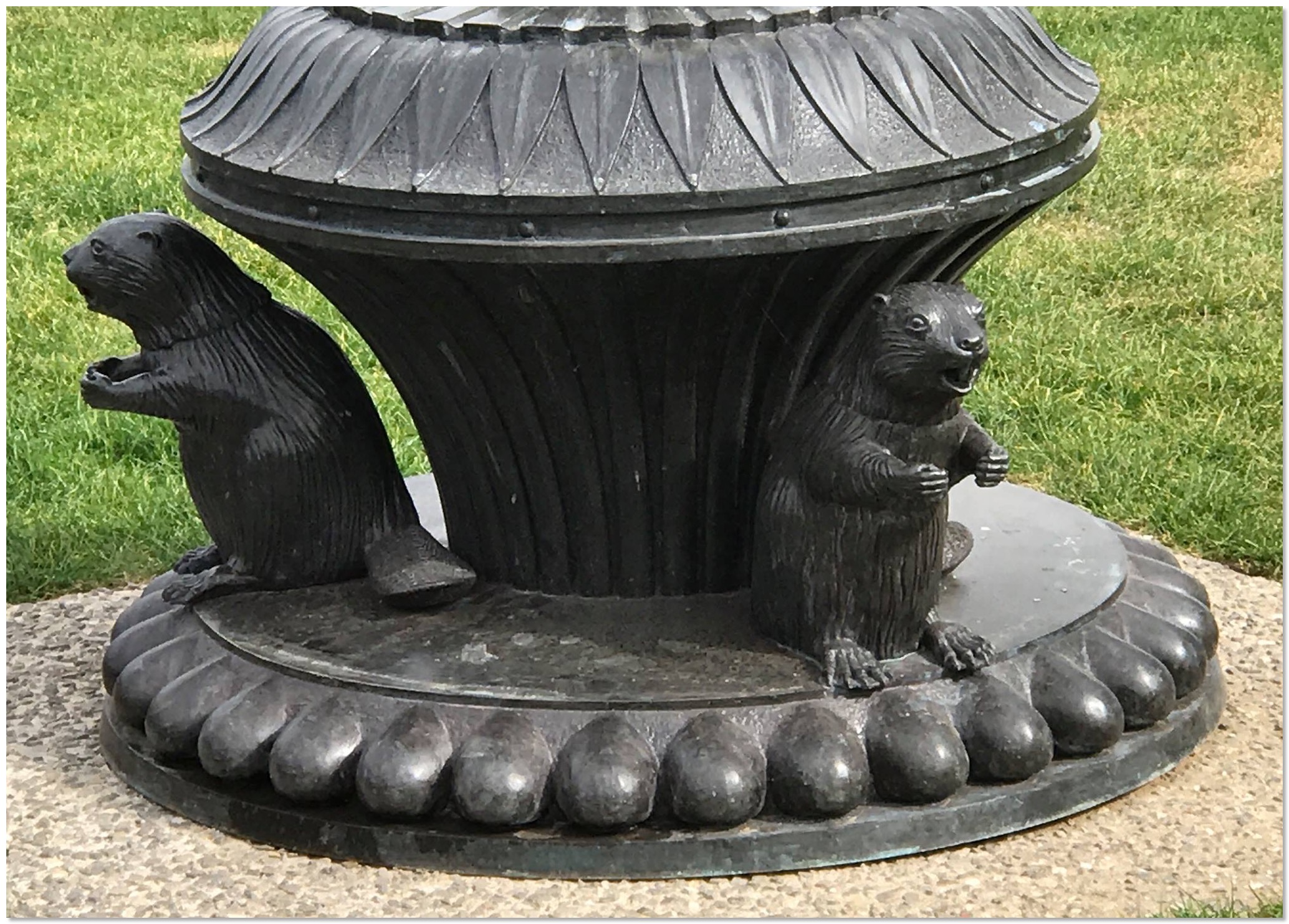 Beavers at Vimuy